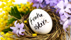 Frohe Ostern